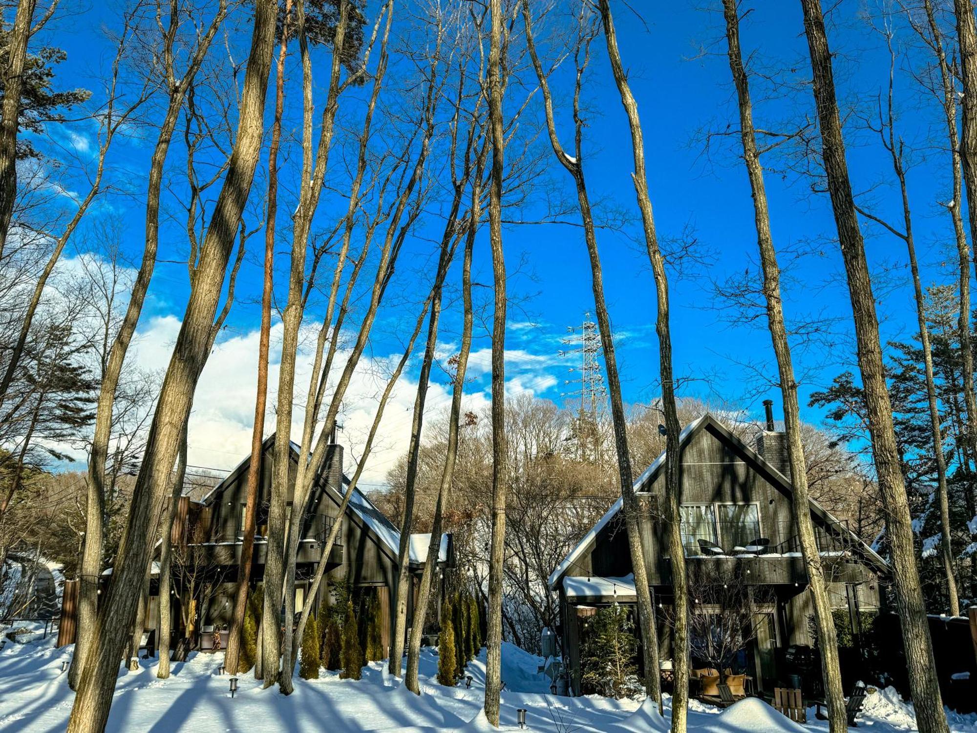Sauna Forest Cabin 軽井沢 御代田　Mori-Asobi Oiwake Exteriör bild